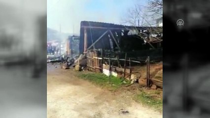 Kastamonu'da ev yangını