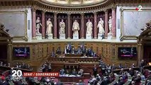 Affaire Benalla : trois collaborateurs de l'Élysée mis en cause par le Sénat