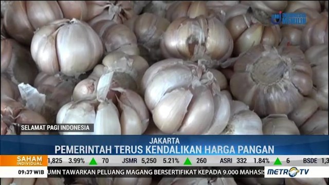 Pemerintah Jaga Stabilitas Harga Bawang Putih