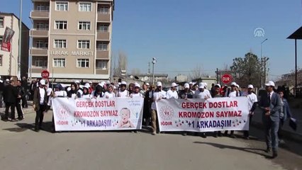 Download Video: Dünya Down Sendromu Farkındalık Günü Etkinlikleri - Iğdır/kilis/