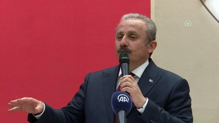 Şentop: 'Türkiye'nin güçlenmesi, belirleyici rol oynayacak olması bazılarını rahatsız ediyor' - İSTANBUL