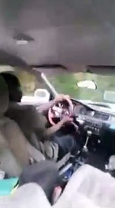 Toujours mettre son frein à main... même dans les pires situations.