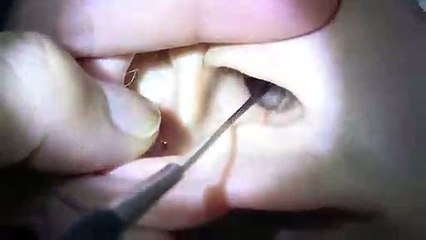 【동두천출장안마】1ØØ%ョ후불【Ø7Ø↔7301↔9649 카톡CNF698】す【동두천출장안마】전지역출장마사지【동두천출장안마】출장마사지'24시【동두천출장안마】출장'콜걸'출장마사지'20대여대생！ЪЫЬ출장마사지출장외국인'출장만남