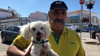 Entenda o Brexit e sua Parada em Reguengos de Monsaraz, Portugal 🇵🇹