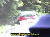 Crash 206 WRC