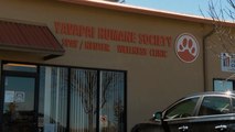 Get to Know the Yavapai Humane Society