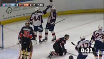 ECHL Kansas City Mavericks 3 at Greenville Swamp Rabbits 3