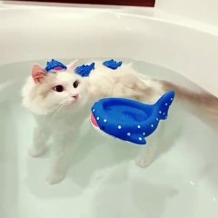 Funny animals funny cats videos 2019 (2)