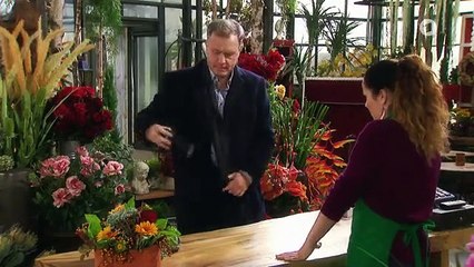 Folge 2850: Die Schmerzensgeld-Lüge | Rote Rosen