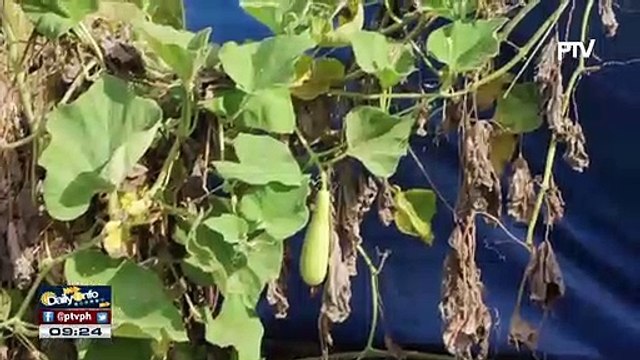 BSWM, magsasagawa ng cloud seeding sa mga lugar na lubhang apektado ng tagtuyot