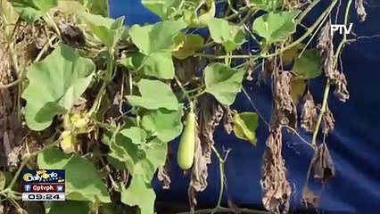 BSWM, magsasagawa ng cloud seeding sa mga lugar na lubhang apektado ng tagtuyot