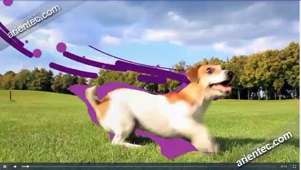 mobile application development companies in coimbatore