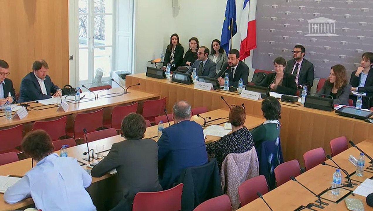 Lutte contre les groupuscules d'extrême droite en France : Auditions diverses - Jeudi 21 mars 2019