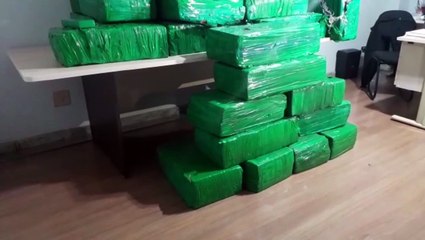 DENARC apreende 924 quilo de maconha