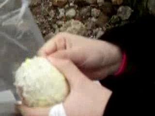 cé melissa ka voler l'orange (a michal)