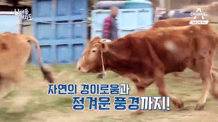 [예고] 한 달에 4천만 원을 버는 청년 농부가 있다?!