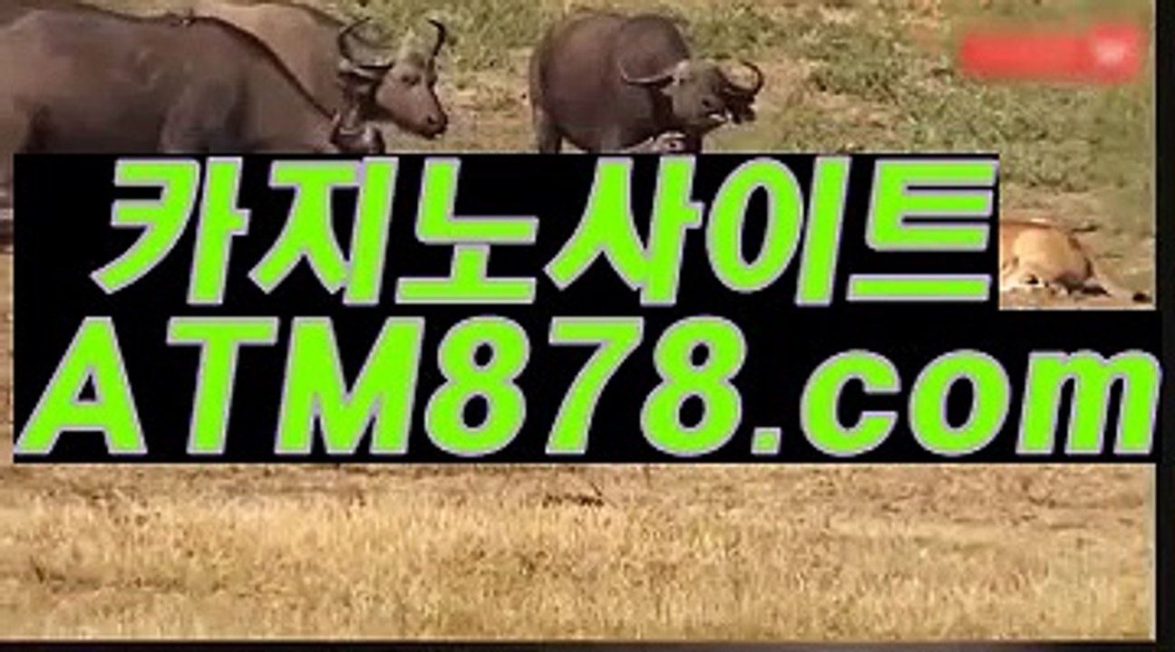 □ 생중계바카라사이트≤ＭＳＴ２７２、C O M≥플레이텍카지노해외카지노 ▦ 북한 선▦