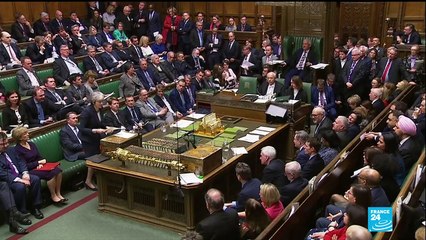 EU offers May limited Brexit delay: what's next?