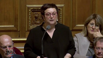 Monique Lubin : question d'actualité du 21 mars 2019