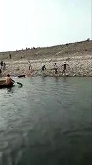 Terrifying moment bear attacks forest officer during rescue operation