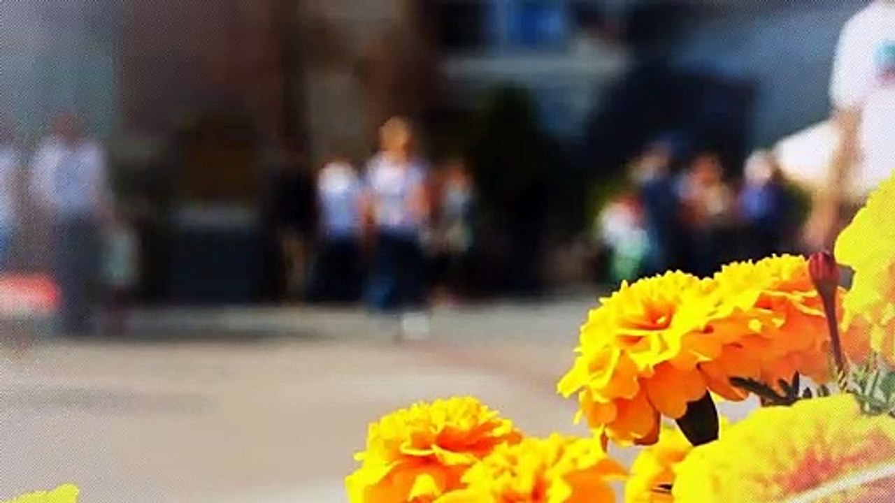 A vendre - Appartement - Paris (75012) - 1 pièce - 35m²