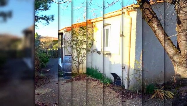 A vendre - Maison - SAINT-GEORGES-DE-DIDONNE (17110) - 116m²