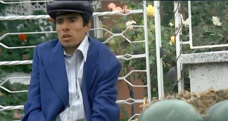 Bir Banker Bilo Sahnesi Daha! Afgan Göçmenleri İstanbul Diye Trabzon'a Bıraktılar