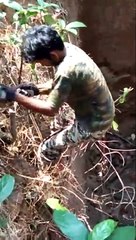 Rescuer saves injured peacock trapped in 40-feet well