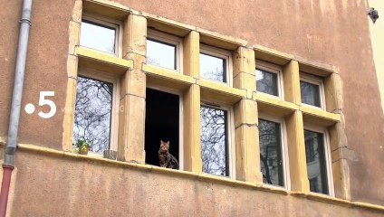 [BA] La maison F5 - du 29/03