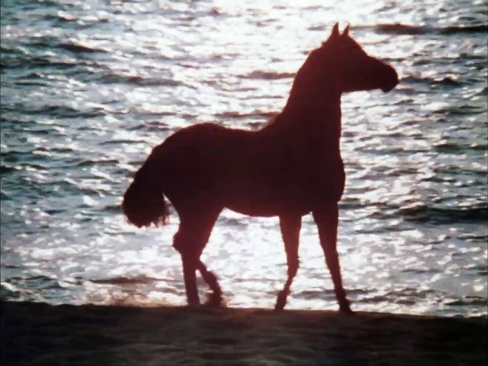 DER SCHWARZE HENGST Film