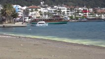 Muğla Marmaris'te Denizin Kıyısı Sarıya Boyadı