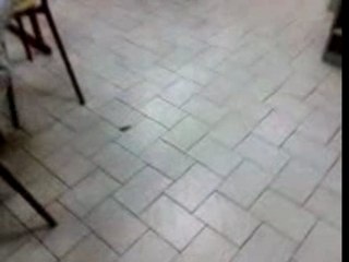 la ragla peucheure jle brule hé tout mdr