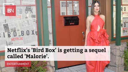 Netflix's 'Bird Box' Sequel Will Be...
