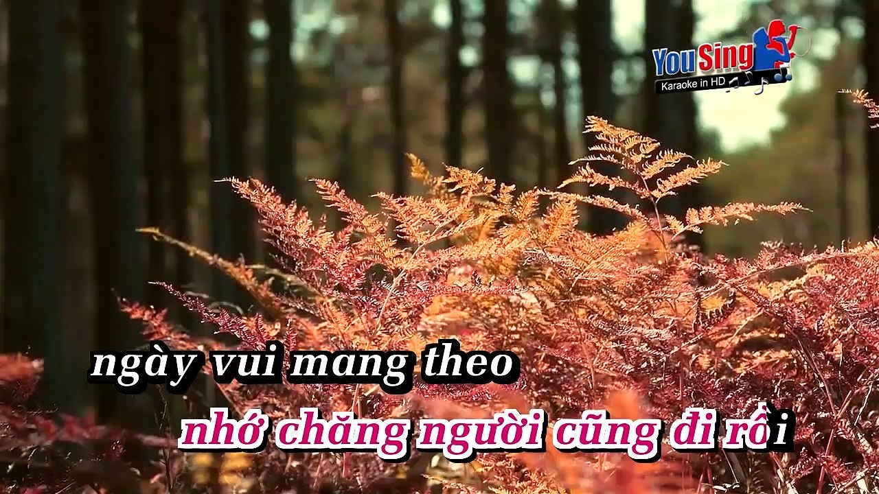 ChoNguoi-LeQuyen-kok
