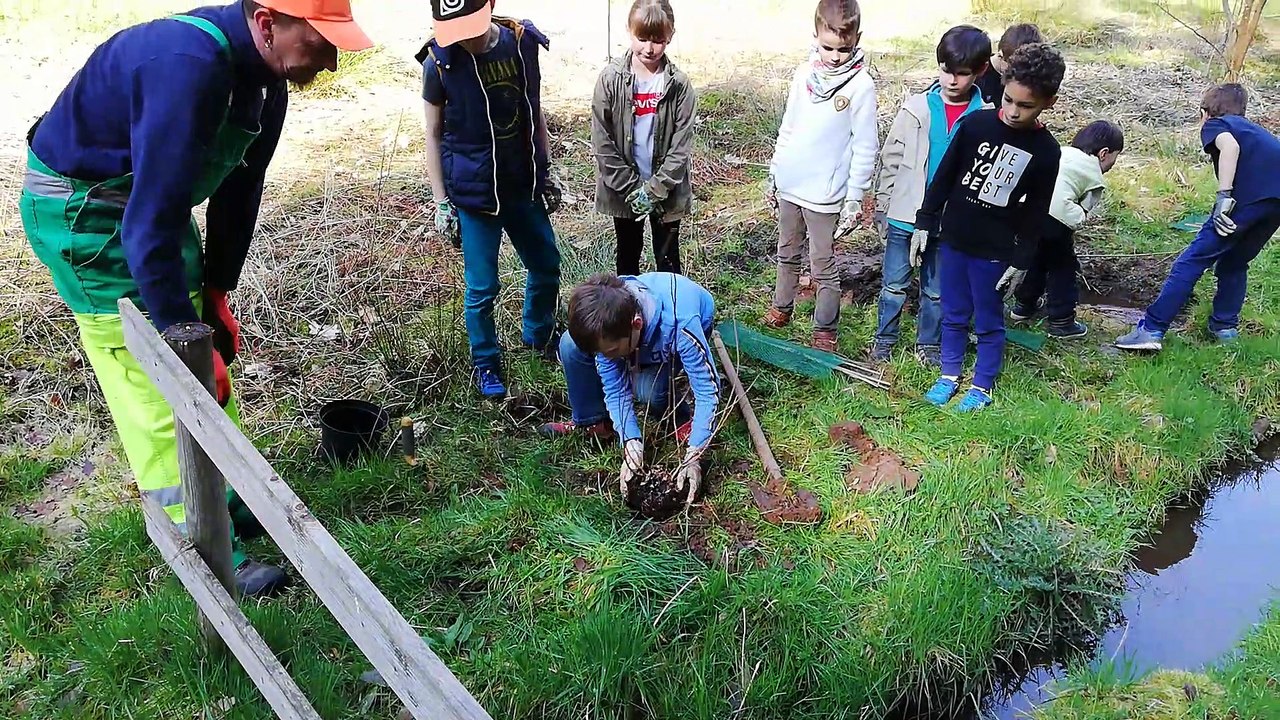 Des enfants de l'école Saint-Laurent d'Épinal plantent des arbres au jardin partagé de la 40 Semaine