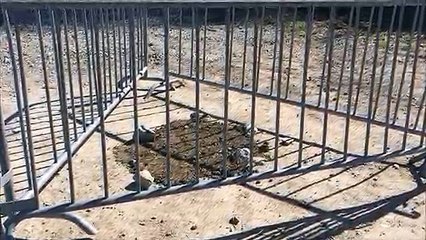 HAUTE-SAVOIE Un homme tué de plusieurs balles à Ballaison