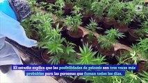 Nuevo informe relaciona el uso de la marihuana con el desarrollo de psicosis