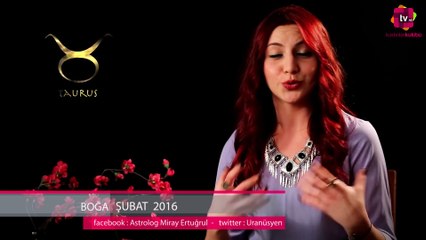 2016 Şubat Ayı Boğa Burcu
