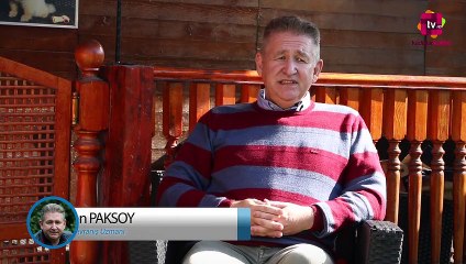 Köpeklerde İleri İtaat Eğitimi Nedir?