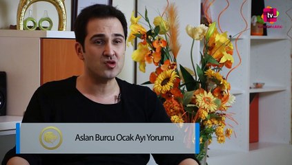 2017 Ocak Ayı Aslan Burcu