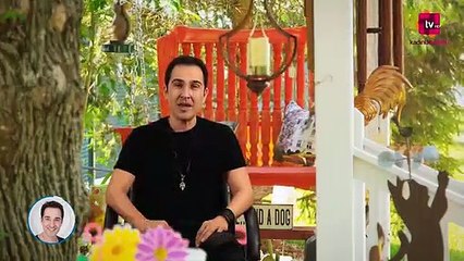 2017 Kasım Ayı Balık Burcu