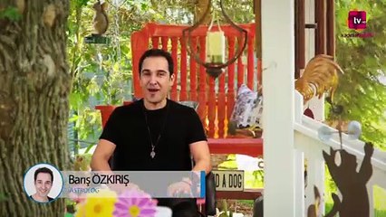 2017 Kasım Ayı Oğlak Burcu