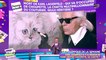 Karl Lagerfeld qui fait hériter sa chatte Choupette : choqué ou pas choqué ?