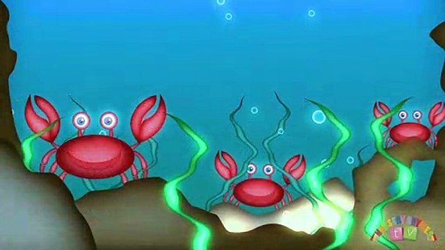 ANIMALS IN THE OCEAN _ Nursery Rhymes TV. Toddler Kindergarten Preschool Baby Songs.