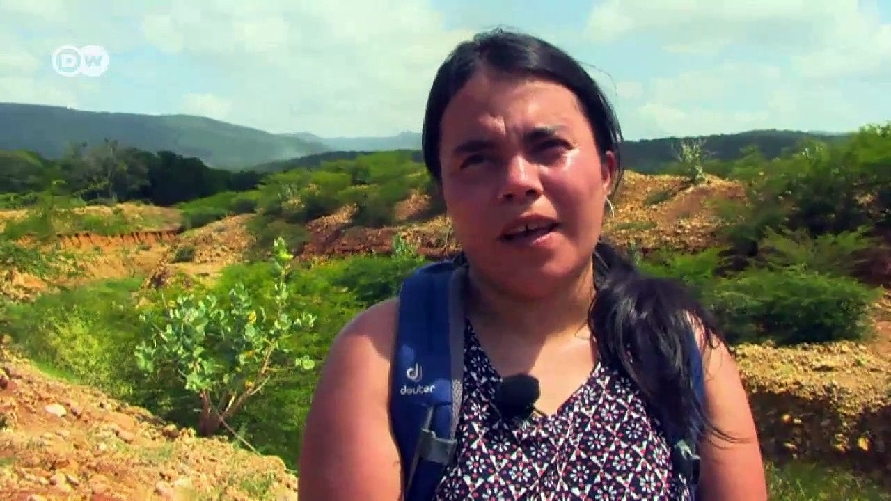 Colombia – The curse of coal | DW Documentary