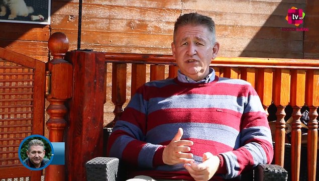 Eğitimli köpek mi yavru köpek mi tercih etmeliyiz?