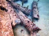 Diver Dwarfed by Massive Stingray