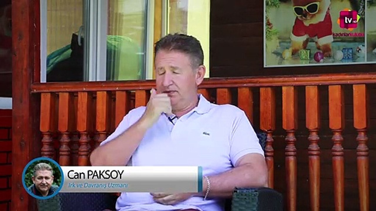 Rehber Köpek Nedir ve Hangi Irklar Rehber Köpek Olabilir?