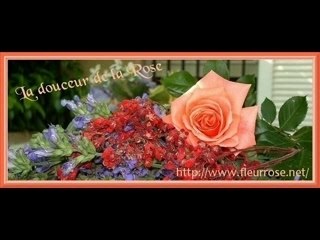 les roses pour tout ceux que j aime