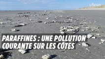 Boulettes de paraffines : une pollution courante sur les côtes